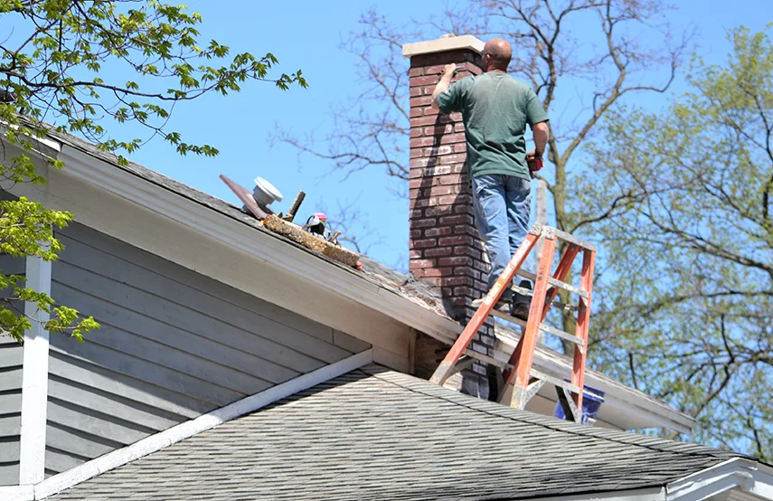 Chimney & Fireplace Inspections Services in Acworth, GA